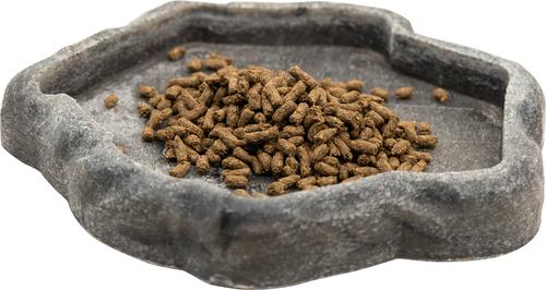 Show full view: Zoo Med Adult Bearded Dragon Food, 4.5-oz jar slide 4 of 5