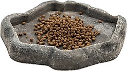 Zoo Med Juvenile Bearded Dragon Food, 4.5-oz jar slide 2 of 4