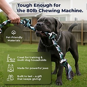 Pacific Pups Rescue Knotted Tough Rope Tug Dog Toy, XX-Large, 1 count, Blue