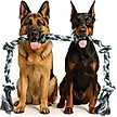 Show in main carousel: Pacific Pups Rescue Knotted Tough Rope Tug Dog Toy, XX-Large, 1 count, Blue slide 9 of 10
