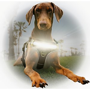 OneTigris AIRE Nylon Mesh No Pull Dog Harness
