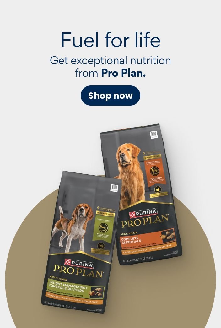 Fuel for life get exceptional nutrition from Pro Plan
