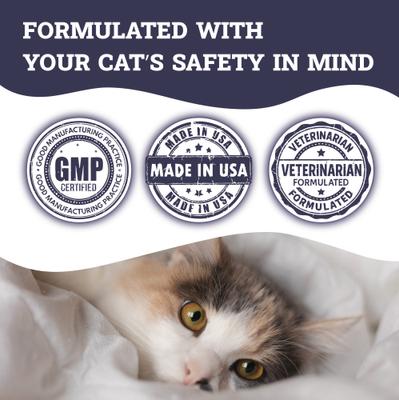 Show full view: Artisanal Paws Digestive Enzyme Support Formula Powder Supplement for Cats, 3.8-oz jar slide 7 of 12