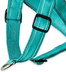 Pet Passion Remy Recycled Ribbon Dog Harness, Turquoise, X-Small: 12 to 15-in chest slide 2 of 3