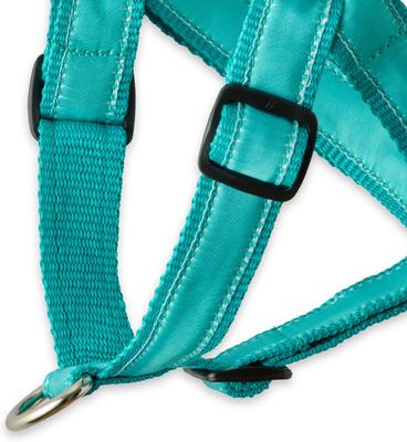 Show full view: Pet Passion Remy Recycled Ribbon Dog Harness, Turquoise, Small: 15 to 19-in chest slide 3 of 3