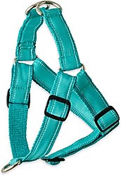 Pet Passion Remy Recycled Ribbon Dog Harness, Turquoise, Small: 15 to 19-in chest