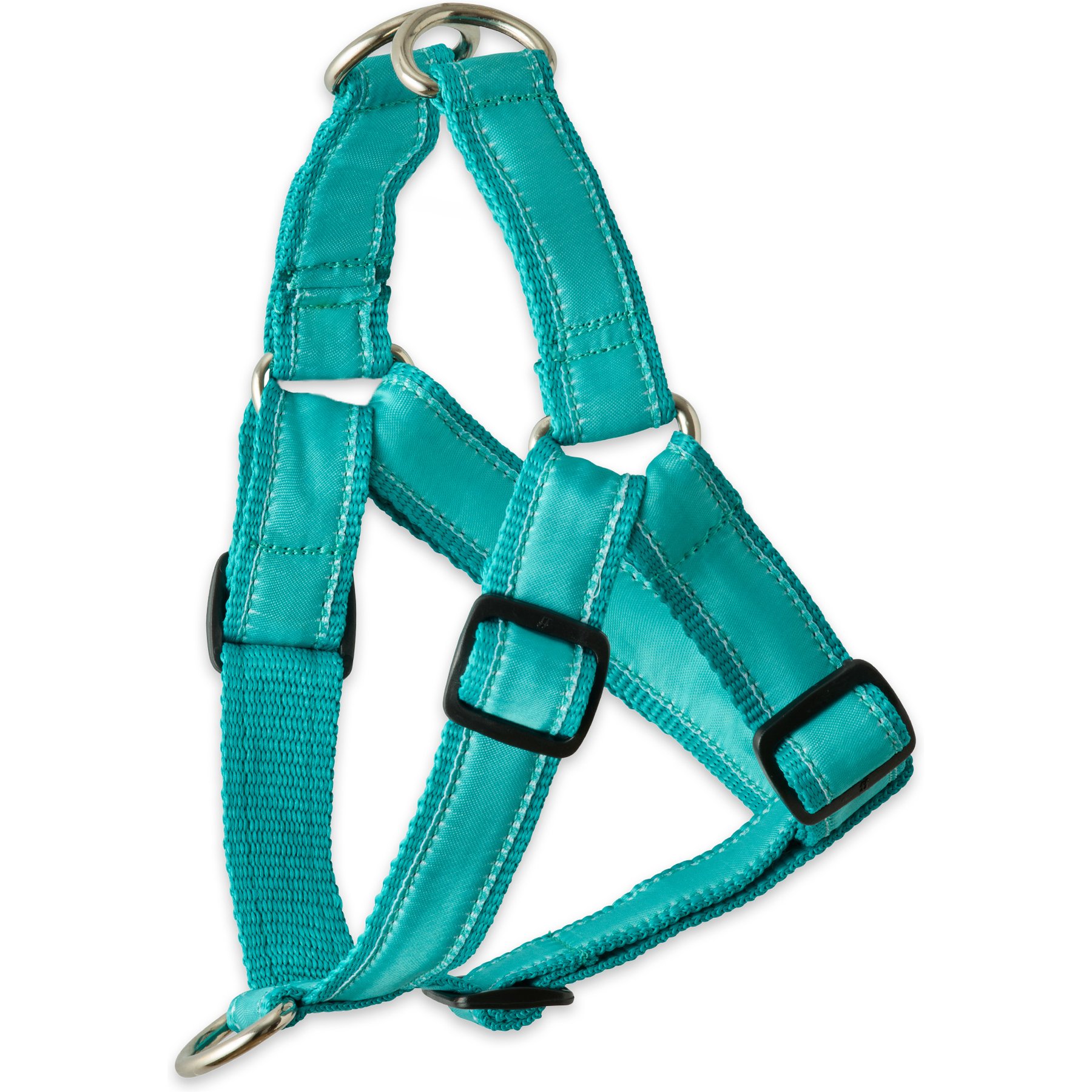 Pet Passion Remy Recycled Ribbon Dog Harness, Turquoise, X-Small: 12 to 15-in chest