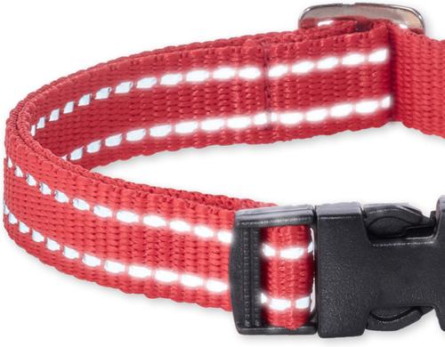 Show full view: Pet Passion Max Hardy Reflective Dog Collar, Red, Medium: 13 to 16-in neck, 3/4-in wide slide 4 of 5