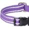 Show in main carousel: Pet Passion Max Hardy Reflective Dog Collar, Purple, X-Small: 9 to 12-in neck, 3/4-in wide slide 3 of 4