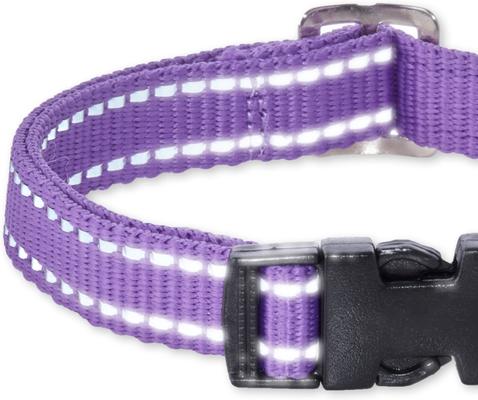Show full view: Pet Passion Max Hardy Reflective Dog Collar, Purple, X-Small: 9 to 12-in neck, 3/4-in wide slide 3 of 4