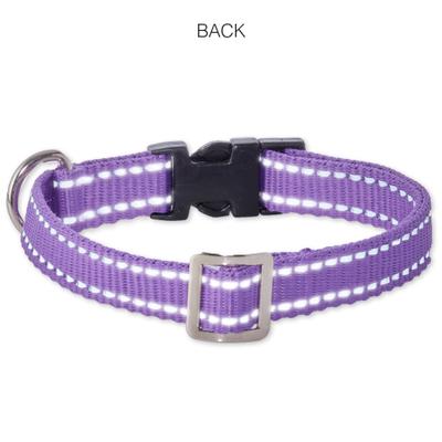 Show full view: Pet Passion Max Hardy Reflective Dog Collar, Purple, X-Small: 9 to 12-in neck, 3/4-in wide slide 4 of 4