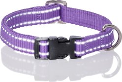 Pet Passion Max Hardy Reflective Dog Collar, Purple, Medium: 13 to 16-in neck, 3/4-in wide