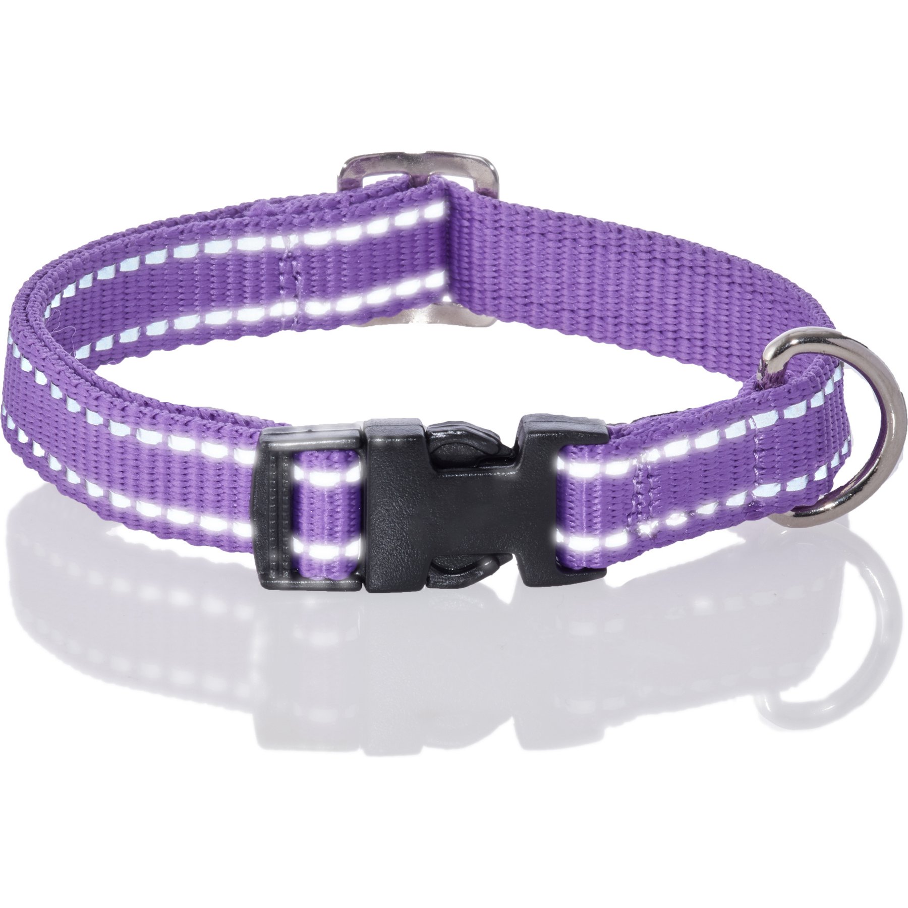 Pet Passion Max Hardy Reflective Dog Collar, Purple, X-Small: 9 to 12-in neck, 3/4-in wide