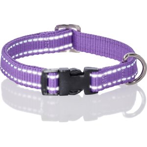 Pet Passion Max Hardy Reflective Dog Collar, Purple, Small: 11 to 14-in neck, 3/4-in wide