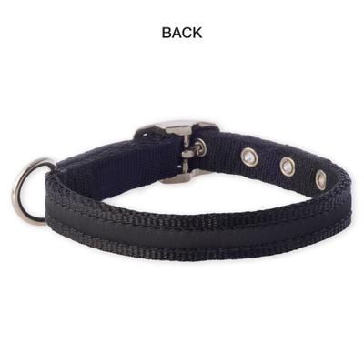 Show full view: Pet Passion Remy Recycled Ribbon Dog Collar, Black, X-Large: 18 to 22-in neck, 1-in wide slide 5 of 7