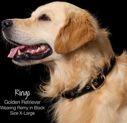 Pet Passion Remy Recycled Ribbon Dog Collar, Black, Large: 15 to 18-in neck, 1-in wide slide 2 of 6