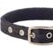 Show in main carousel: Pet Passion Remy Recycled Ribbon Dog Collar, Black, X-Large: 18 to 22-in neck, 1-in wide slide 4 of 7