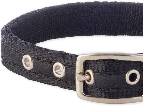 Show full view: Pet Passion Remy Recycled Ribbon Dog Collar, Black, X-Large: 18 to 22-in neck, 1-in wide slide 4 of 7