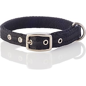 Pet Passion Remy Recycled Ribbon Dog Collar, Black, Small: 11 to 14-in neck, 3/4-in wide