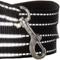 Show in main carousel: Pet Passion Max Hardy Reflective Dog Leash, 7-ft long, 1-in wide, Black slide 5 of 6