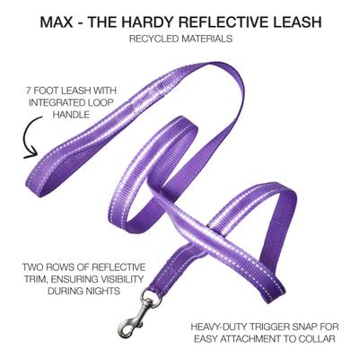Show full view: Pet Passion Max Hardy Reflective Dog Leash, 7-ft long, 1-in wide, Purple slide 2 of 4
