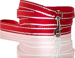 Pet Passion Max Hardy Reflective Dog Leash, 7-ft long, 1-in wide, Red