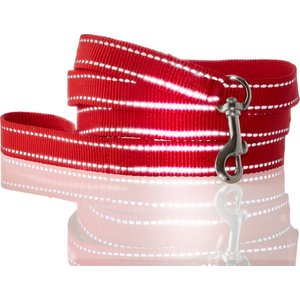 Pet Passion Max Hardy Reflective Dog Leash, 7-ft long, 1-in wide, Red