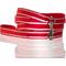 Show in main carousel: Pet Passion Max Hardy Reflective Dog Leash, 7-ft long, 1-in wide, Red slide 1 of 4