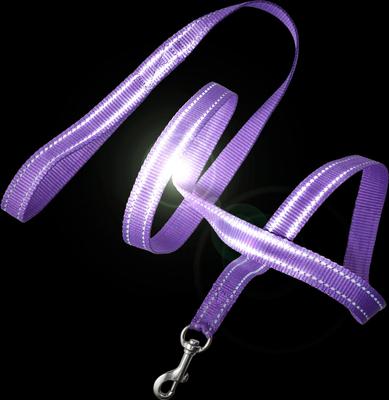 Show full view: Pet Passion Max Hardy Reflective Dog Leash, 7-ft long, 1-in wide, Purple slide 3 of 4