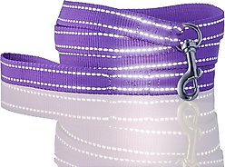 Pet Passion Max Hardy Reflective Dog Leash, 7-ft long, 1-in wide, Purple
