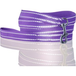 Pet Passion Max Hardy Reflective Dog Leash, 7-ft long, 1-in wide, Purple