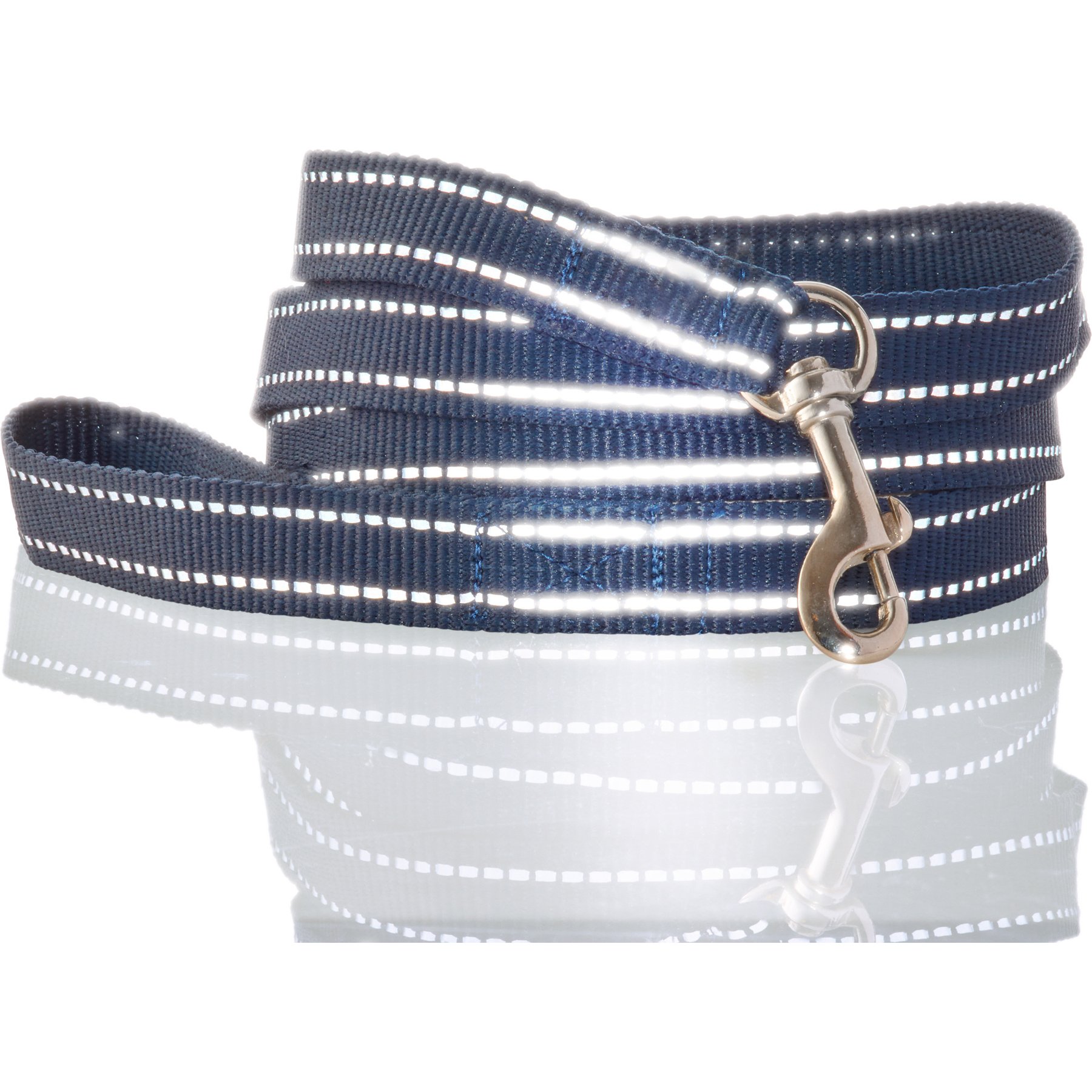 Pet Passion Max Hardy Reflective Dog Leash, 7-ft long, 1-in wide, Navy