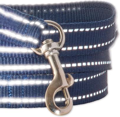 Show full view: Pet Passion Max Hardy Reflective Dog Leash, 7-ft long, 1-in wide, Navy slide 4 of 4