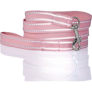 Pet Passion Max Hardy Reflective Dog Leash, 7-ft long, 1-in wide, Pink