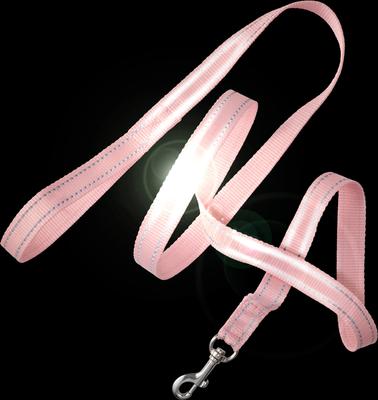 Show full view: Pet Passion Max Hardy Reflective Dog Leash, 7-ft long, 1-in wide, Pink slide 3 of 4