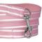 Show in main carousel: Pet Passion Max Hardy Reflective Dog Leash, 7-ft long, 1-in wide, Pink slide 4 of 4