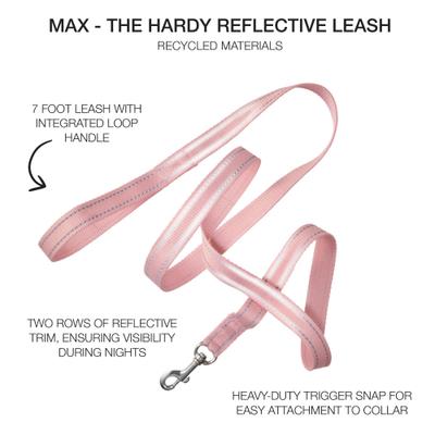 Show full view: Pet Passion Max Hardy Reflective Dog Leash, 7-ft long, 1-in wide, Pink slide 2 of 4