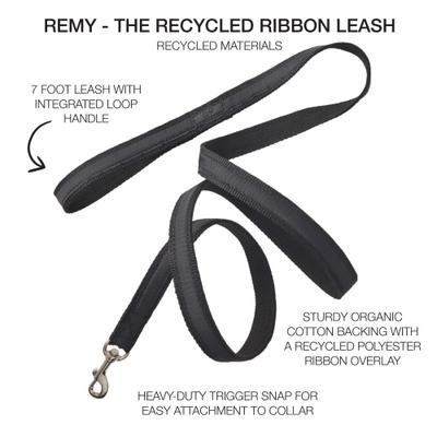 Show full view: Pet Passion Remy Recycled Ribbon Dog Leash, 7-ft long, 1-in wide, Black slide 2 of 5