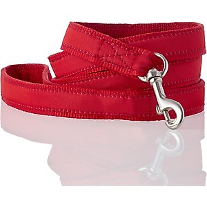 Pet Passion Remy Recycled Ribbon Dog Leash, 7-ft long, 1-in wide, Red