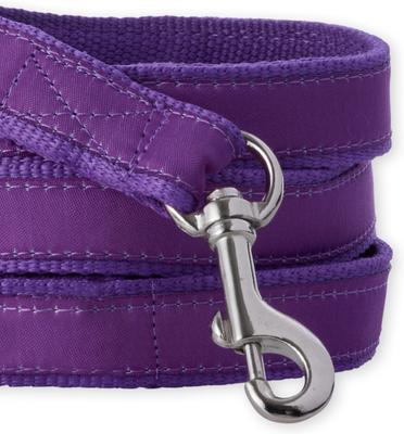 Show full view: Pet Passion Remy Recycled Ribbon Dog Leash, 7-ft long, 1-in wide, Purple slide 4 of 6