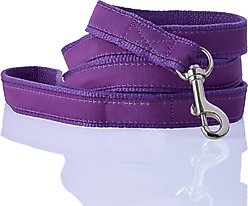 Pet Passion Remy Recycled Ribbon Dog Leash, 7-ft long, 1-in wide, Purple