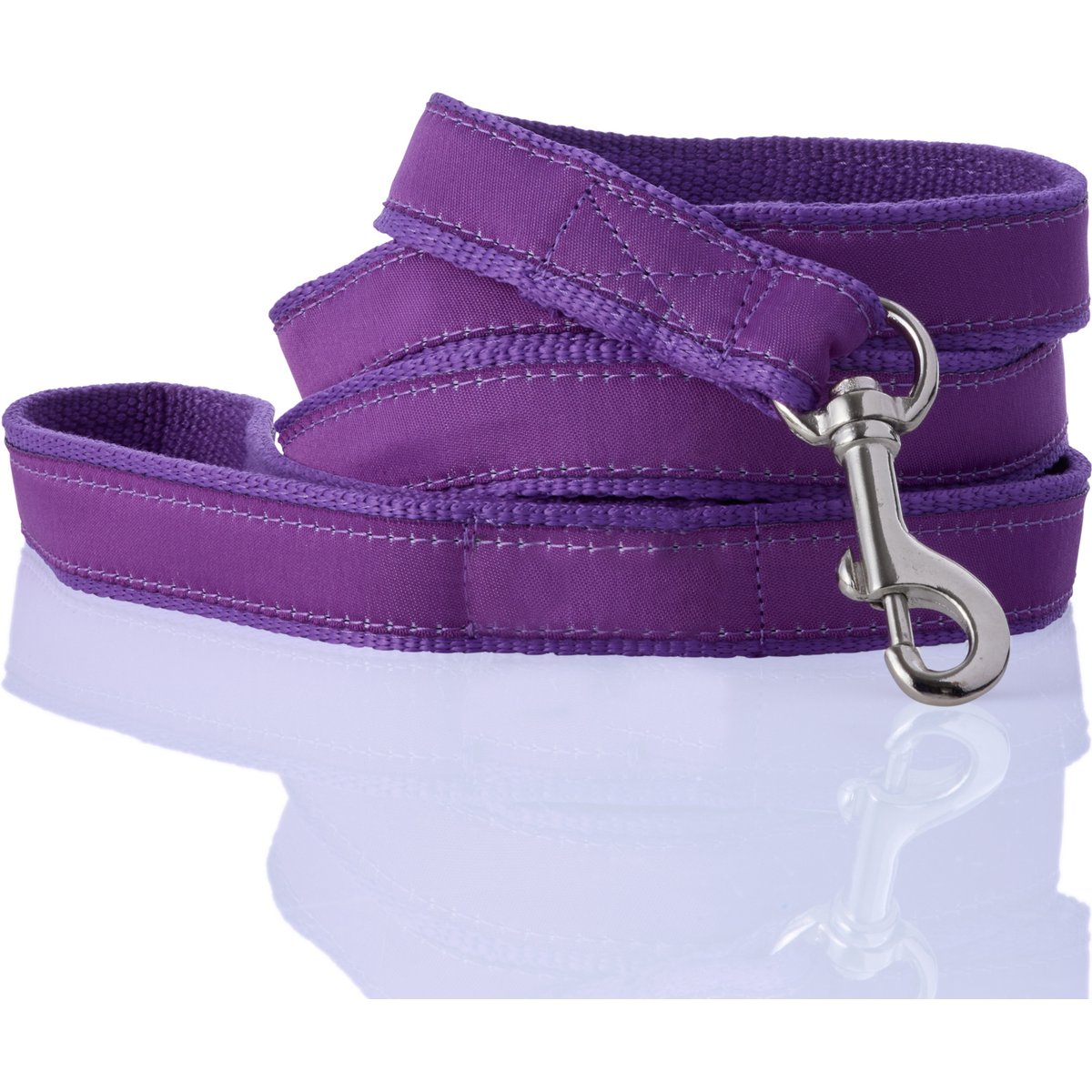 Pet Passion Remy Recycled Ribbon Dog Leash, 7-ft long, 1-in wide, Purple