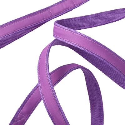 Show full view: Pet Passion Remy Recycled Ribbon Dog Leash, 7-ft long, 1-in wide, Purple slide 5 of 6