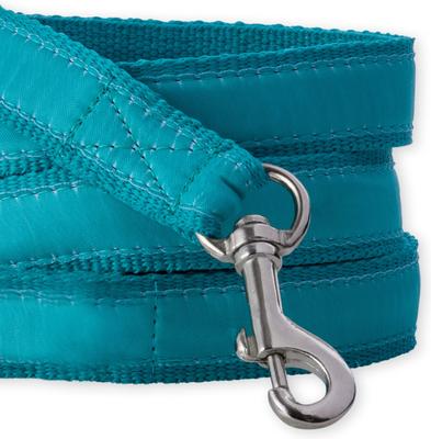 Show full view: Pet Passion Remy Recycled Ribbon Dog Leash, 7-ft long, 1-in wide, Turquoise slide 3 of 5