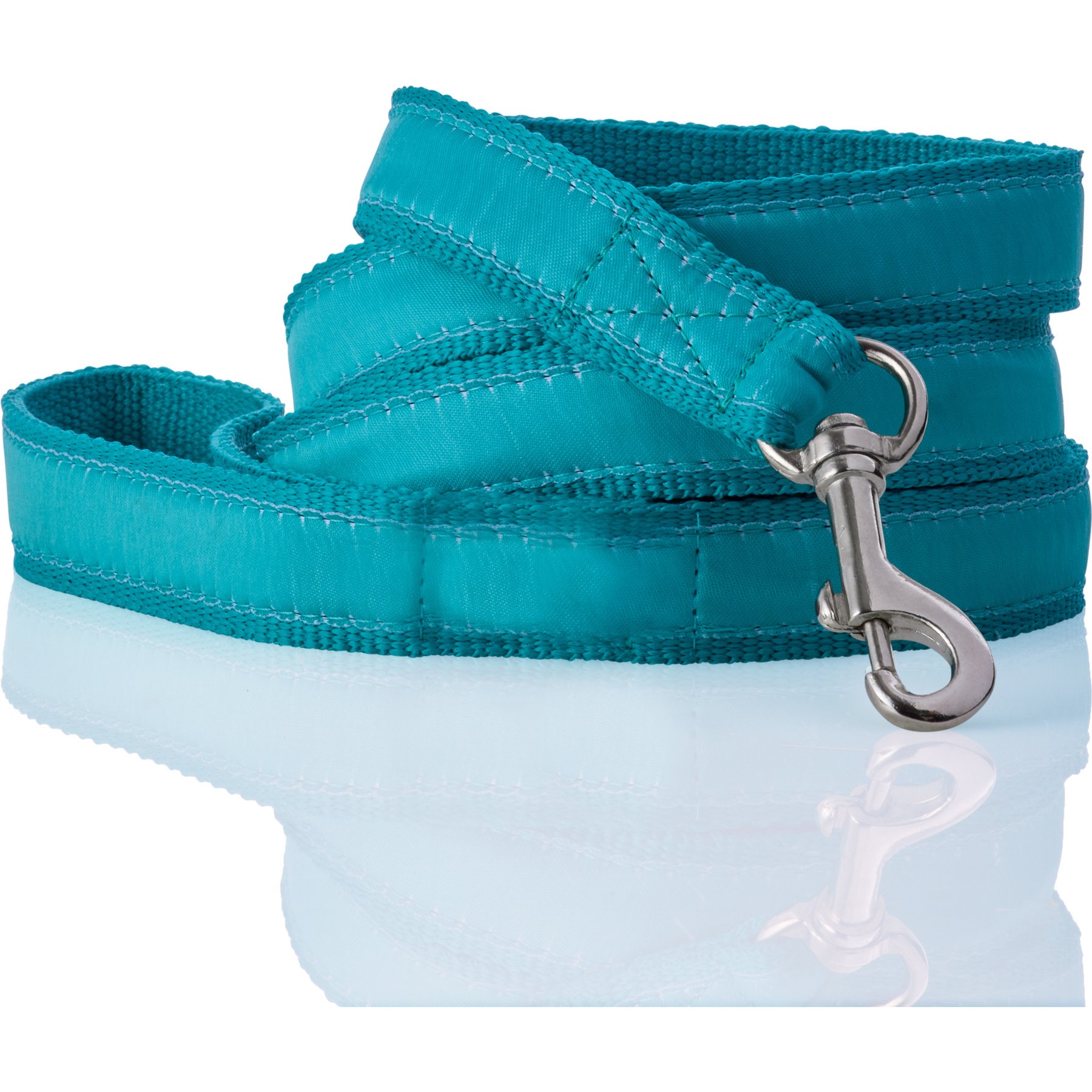Pet Passion Remy Recycled Ribbon Dog Leash, 7-ft long, 1-in wide, Turquoise