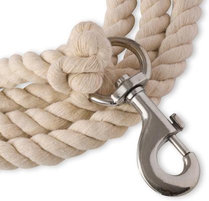 Show full view: Pet Passion Tucker Twisted Rope Dog Leash, Ivory, 7-ft long, 1-in wide slide 5 of 6