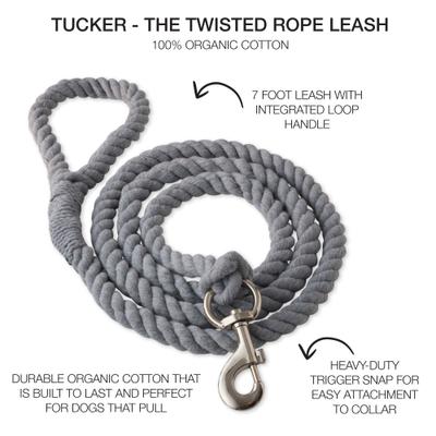Show full view: Pet Passion Tucker Twisted Rope Dog Leash, Gray, 7-ft long, 1-in wide slide 3 of 6