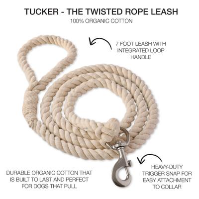 Show full view: Pet Passion Tucker Twisted Rope Dog Leash, Ivory, 7-ft long, 1-in wide slide 3 of 6