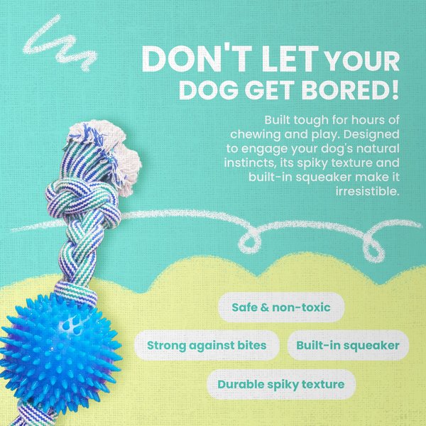 Show full view: Snugarooz Feel'N Spikey 23-in Dog Tug Toy, Color Varies slide 9 of 10