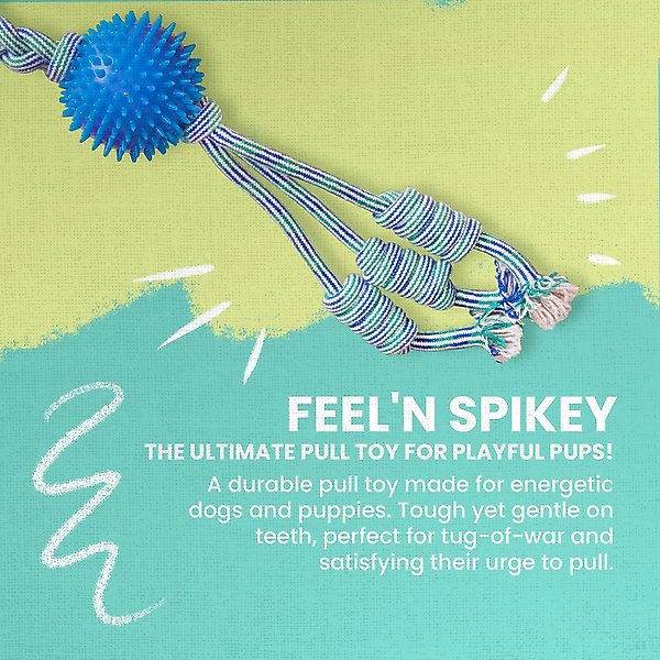 Show full view: Snugarooz Feel'N Spikey 23-in Dog Tug Toy, Color Varies slide 5 of 10